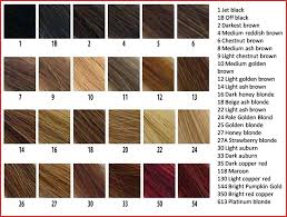 jazzing hair color chart 163149 types hair color different