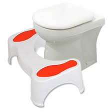 1800'lerde krallara ve kraliçelere ayrı bir lüks getirmek için oturmalı tuvaletler alaturka tuvaletlerin; Luxwares Wc Turka Klozet Taburesi Fiyati Taksit Secenekleri