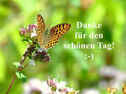 Danke Fur Den Schonen Tag Www Botschaftenmitherz De Animals Butterfly Pictures Butterfly Quotes