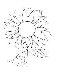 Domain Expired Sunflower Coloring Pages Sunflower Printable Sunflower Template Sunflower pictures celebrate the end of summer, strong and tall, perfect for early fall decorations.