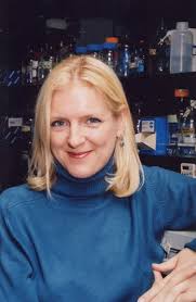 Tyndale to deliver Wilkinson Lecture