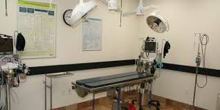 Our veterinary clinic at banfield pet hospital provides the best vet care for your cat, dog or other pet. Veterinary Construction Banfield Pet Hospital Bnk Construction