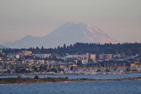 Image result for foto moud Forsterův