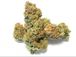 La cookies ist eine mostly sativa sorte von cali connection und kann drinnen (wo die weiblichen pflanzen ±60 tage blütezeit benötigen) und draussen angebaut . Peyote Cookies Weed Strain Information Leafly