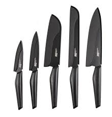 Cambridge Silversmiths Chef Robert Irvine 10 Piece Assorted Knife Set Cambridge Silversmiths Knife Block Set Knife
