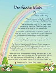 What does the rainbow mean to a person? Rainbow Bridge Rspca Llys Nini Animal Centre