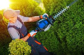 Wann darf ich nach bundesnaturschutzgesetz (bnatschg) meine hecke schneiden? Thuja Hecke Schneiden Kosten Meter Stunde Wann 2021