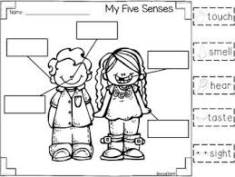 My Five Senses Labeling Freebie My Five Senses Senses Preschool Five Senses Kindergarten