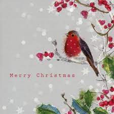 Pack Of 6 Charity Christmas Cards Illustrated With A Robin Amongst Holly Berries A Donation F Charity Christmas Cards Christmas Artwork Christmas Illustration