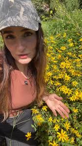 TAXA TUESDAY 🌿 , Meet the Smooth Oxeye Sunflower!, Smooth Oxeye Sunflower,  Heliopsis gracilis, (syn. Heliopsis helianthoides var. gracilis), Family:  Asteraceae, With its seemingly never-ending ...