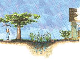 Rain Garden Benefits And Tips Cabin Life Magazine Rain Garden Design Rain Garden Benefits Of Gardening