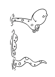 Yilan Boyama Sayfasi Okuloncesitr Preschool Boyama Sayfalari Hayvan Hayvanlar