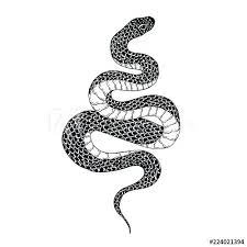 Snake Sketch Hand Drawn Vintage Snake Illustration Graphic Sketch For Posters Tattoo Clothes T Shirt Design P Snake Illustration Snake Sketch How To Draw Hands