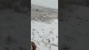 Se recomienda a los conductores circular con precaución. Cae Nieve En Cordoba