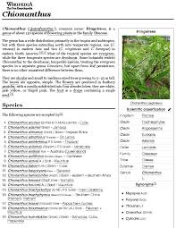 Image result for Chionanthus niloticus