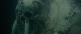 There stood ymir, the tusk, the terror from the barrier, the snowball from cobalt, the only fighter to have bested the bristled bruiser in a fair fight. Tusk Ambition Hidden Behind The Absurd 3500 Words Alternative Readings