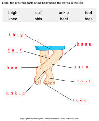 Pin On Vocabulario En Ingles