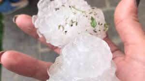 Mercoledì alle 18 l'amichevole contro il crotone. Forte Grandinata Nel Parmense La Repubblica