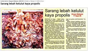 Madu adalah sesuatu yang tidak asing lagi samada di malaysia atau di pasaran antarabangsa. Kehebatan Propolis Madu Lebah Kelulut Apiary Bee Beauty Facebook