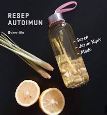 Pin Oleh Ike Yulistika Di Resep Ku Di 2020 Resep Sehat Penyakit Autoimun Minuman Detoks