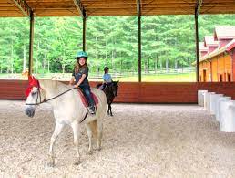 See 2 traveler reviews, 3 photos and blog posts. Horseback Riding Activity Girls Summer Horse Camps Rockbrook Camp