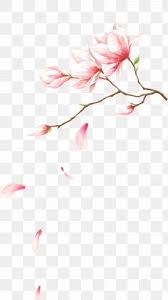 This makes it suitable for many types of projects. Pink Flowers Images Pink Flowers Transparent Png Free Download