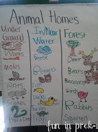 Fun In Prek 1 A Picture Palooza Of Animal Homes Life Cycles Forest Animals Preschool Kindergarten Science Animal Lessons
