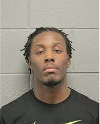 ᐅ Illinois Criminal Records 2009-2025