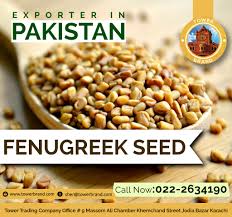 Fenugreek seeds on wn network delivers the latest videos and editable pages for news & events, including entertainment, music, sports, science and while zohary and hopf are uncertain which wild strain of the genus trigonella gave rise to domesticated fenugreek, charred fenugreek seeds have. Fenugreek Is Good For Health These Are A Few Additional Anecdotal Fenugreek Seeds Benefits Balance Cholesterol Soot Fenugreek Seeds Benefits Fenugreek Seeds