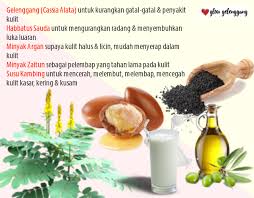 Khasiat daun ekor naga telah lama dipercaya mengatasi penyakit. Sabun Dan Minyak Herba Glow Gelenggang Penawar Gatal Gatal Kulit Keunggulan Wanita Lifestyle Author Travel Blog