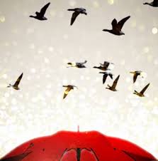 Kerana 'izin dalam paksa', rakyat terengganu berhak atas pelbagai kesalahan membabitkan pemeriksaan ke atas 20 buah kereta di jalan batu buruk, durian burung dan pengadang baru di kuala terengganu, amat membimbangkan. Merah Adalah Warna Kereta Yang Digemari Burung Untuk Berak