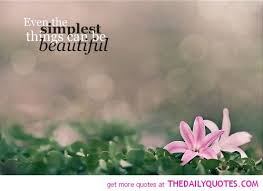 Check spelling or type a new query. Quotes About Girl With Flower 23 Quotes