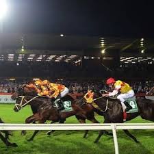 Cranbourne Night Races Vic Races 4 9 Friday 11th October 2019 By Occy Live On Website Now Https Ift Horse Racing Tipsters Horse Racing Tips Horse Racing