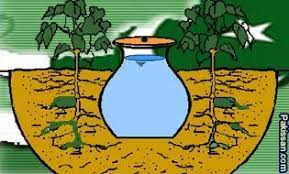 Pakissan Com Pitcher Irrigation A Water Saving Technique Irrigation Clay Pot Irrigation Large Flower Pots