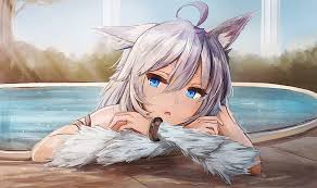 Checkout high quality anime wallpapers for android, pc & mac, laptop, smartphones, desktop and tablets with different resolutions. Hd Wallpaper Anime Redo Of Healer Animal Ears Long Hair White Hair Wallpaper Flare
