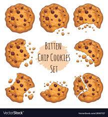 Vector Chocolate Crumbs Chips Isolated On White Background Homemade Choco Chip Cookies Vector Illustration Down Cookie Vector Choco Chip Cookies Chip Cookies