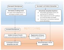 Image result for Refeeding Syndrome