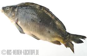 Karpfenfilets Auf Wurzelgemuse Mit Meerrettichsosse Meerrettichsosse Fisch Zubereiten Wurzelgemuse