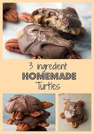 3 Ingredient Homemade Turtles Recipe Dessert Recipes Easy Easy Desserts Homemade Turtles