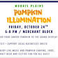Pumpkin Illumination event image