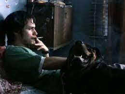 Amores Perros' regresa a las salas de cine ¡no te la pierdas! | Dónde Ir