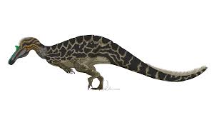 Image result for Suchomimus