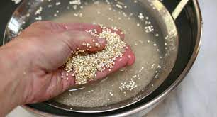 La quinoa si cuoce sempre a volumi: Come Cucinare La Quinoa La Guida Completa Vegolosi It