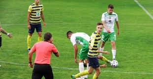 Besides all of the professional clubs of hungary numerous amateur sides take part every year. Fejer Megye Magyar Kupa Archives Focidrukker Com
