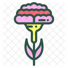 Find & download free graphic resources for carnations. Carnation Icon Of Colored Outline Style Available In Svg Png Eps Ai Icon Fonts