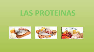 Los carbohidratos que te dan energía son los complejos y los que te ocasionan hambre son los simples. Alimentos Que Contienen Carbohidratos Y Lipidos Muestra De Alimentos Que Contienen Carbohidratos Lipidos Y Proteinas