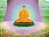 ผลการค้นหารูปภาพสำหรับ การบรรลุมรรคผล