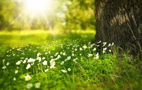 Скачивай бесплатно песни relajarse, musica para meditar especialistas, lluvia especialistas de musica para dormir, massagem m sica, musica relajante para. Musica Relaxante Para Dormir Relaxar E Acalmar Musica Para Relaxar