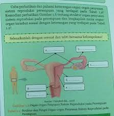 Maybe you would like to learn more about one of these? Please Jawab Yaa Dikumpulkan Besok Paket Ipa Kelas 9 Halaman 15 Brainly Co Id