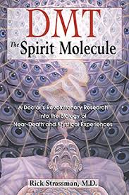 A dmt trip is said to have intense psychological effects, and, in recent decades, the drug has been the subject of close scientific scrutiny. Dmt The Spirit Molecule A Doctor S Revolutionary Research Into The Biology Of Near Death And Mystical Experiences English Edition Ebook Strassman Rick Amazon De Kindle Shop